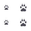 Pawprints